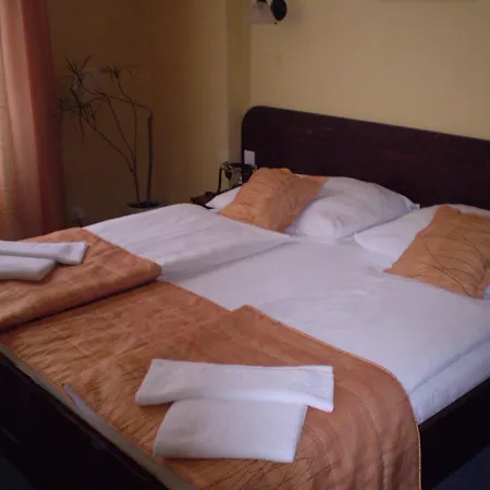 Hotel U Stare Pani - At The Old Lady Praha